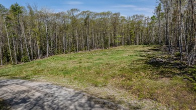 Embrace the beauty of Maine's coast with this prime building lot - photo 1