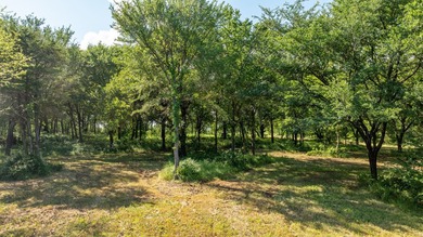 Breathtaking and private, heavily treed with wide open space on - photo 11