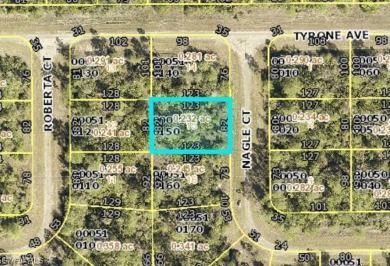 Lehigh Acres Area Lot For Sale in Lehigh Acres Florida