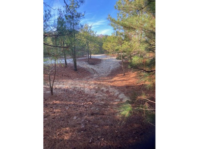 (private lake, pond, coastal) Acreage For Sale in Accomac Virginia