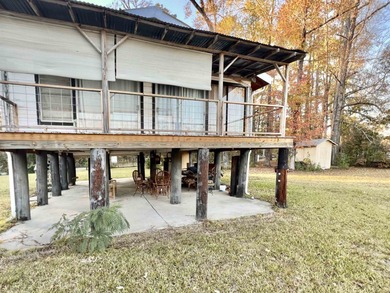 (private lake, pond, creek) Home For Sale in Spurger Texas