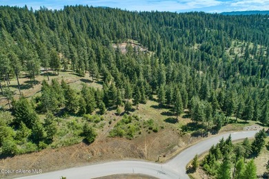 A Gozzer Ranch Golf and Lake Club Lot with stunning views of - photo 2