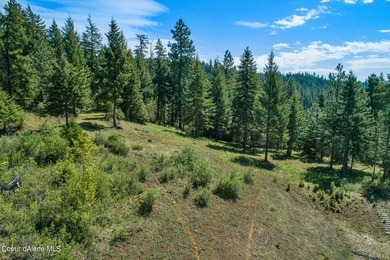 A Gozzer Ranch Golf and Lake Club Lot with stunning views of - photo 3