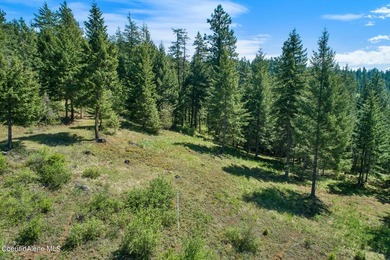 A Gozzer Ranch Golf and Lake Club Lot with stunning views of - photo 4