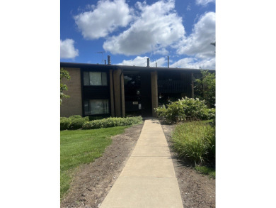Lake Condo For Sale in Willowbrook, Illinois
