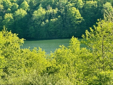 Stonecoal Lake Acreage For Sale in Horner West Virginia
