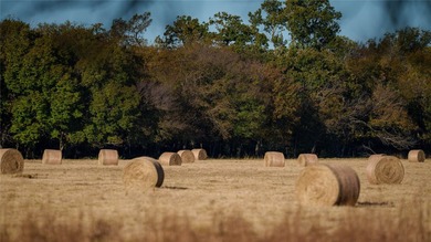 Finding nearly 1,000 acres of productive ranch land this close - photo 18