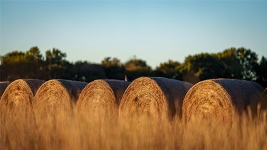 Finding nearly 1,000 acres of productive ranch land this close - photo 19