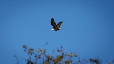 Finding nearly 1,000 acres of productive ranch land this close - photo 38