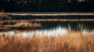 Finding nearly 1,000 acres of productive ranch land this close - photo 39