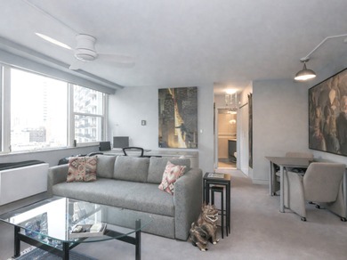 Experience classic Gold Coast living in this beautifully updated - photo 5