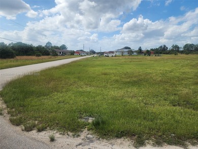 Lehigh Acres Area Lot For Sale in Lehigh Acres Florida