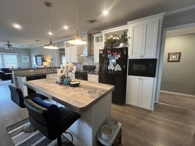 Welcome home to this beautiful 2019 Chariot Eagle Aurora - photo 3