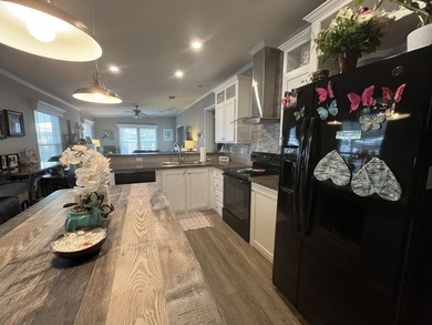 Welcome home to this beautiful 2019 Chariot Eagle Aurora - photo 8