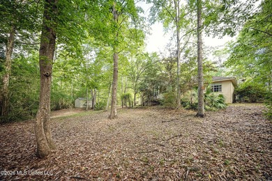 WATERFRONT on 3 Large Lots ! Find your small oasis Tucked away - photo 50