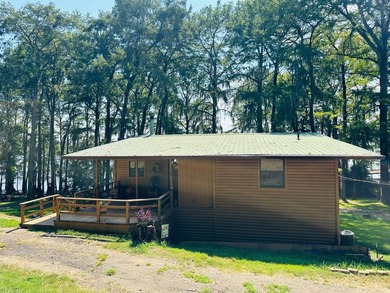 Caddo Lake Estates home on a large lot, a private boat ramp - photo 5