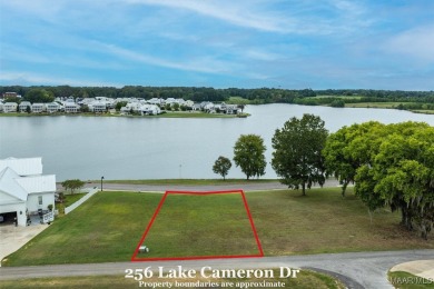 Lake Cameron Lot For Sale in Pike Road Alabama