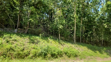 Build Your Ideal Garage Retreat in Oronoco! Situated on Cedar - photo 2