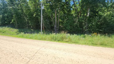 Build Your Ideal Garage Retreat in Oronoco! Situated on Cedar - photo 3