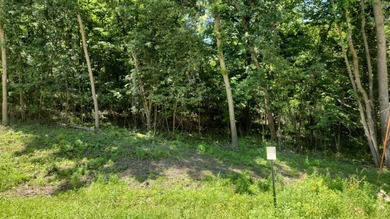 Build Your Ideal Garage Retreat in Oronoco! Situated on Cedar - photo 4