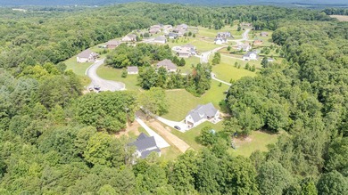 Luxury living at its finest in this stunning New construction - photo 3