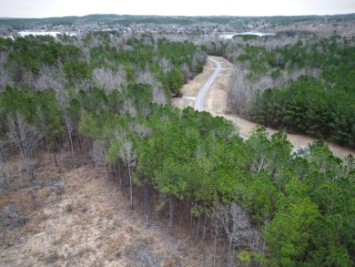 Enjoy Smith Lake without The Smith Lake Price Tag! This Lot is 1 - photo 11
