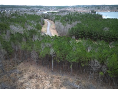 Enjoy Smith Lake without The Smith Lake Price Tag! This Lot is 1 - photo 12