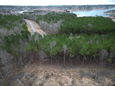 Enjoy Smith Lake without The Smith Lake Price Tag! This Lot is 1 - photo 13