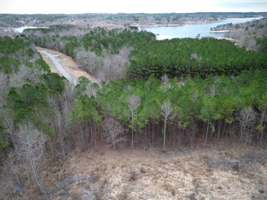 Enjoy Smith Lake without The Smith Lake Price Tag! This Lot is 1 - photo 14