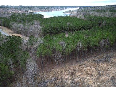 Enjoy Smith Lake without The Smith Lake Price Tag! This Lot is 1 - photo 15