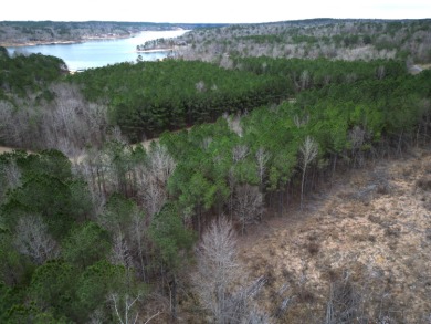 Enjoy Smith Lake without The Smith Lake Price Tag! This Lot is 1 - photo 16