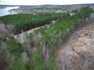 Enjoy Smith Lake without The Smith Lake Price Tag! This Lot is 1 - photo 17