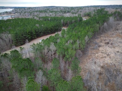 Enjoy Smith Lake without The Smith Lake Price Tag! This Lot is 1 - photo 18