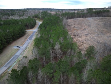 Enjoy Smith Lake without The Smith Lake Price Tag! This Lot is 1 - photo 19