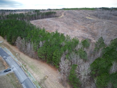 Enjoy Smith Lake without The Smith Lake Price Tag! This Lot is 1 - photo 21