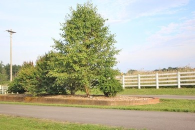 BEST BUY FOR A LAKE LOT IN THE BEAUTIFUL BARREN RIVER LAKE AREA! - photo 2