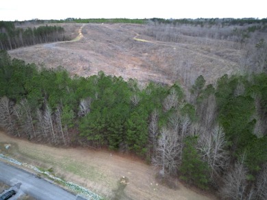 Enjoy Smith Lake without The Smith Lake Price Tag! This Lot is 1 - photo 22