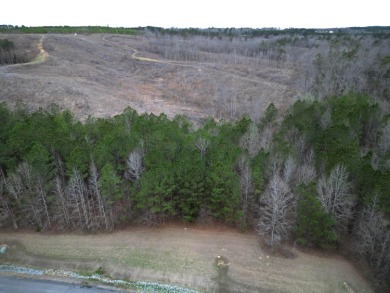 Enjoy Smith Lake without The Smith Lake Price Tag! This Lot is 1 - photo 23