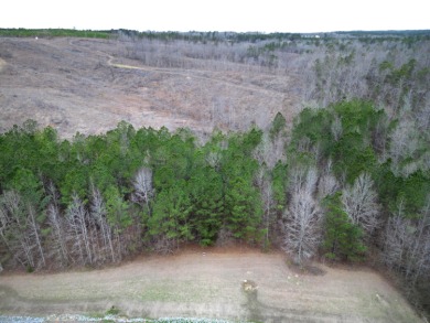 Enjoy Smith Lake without The Smith Lake Price Tag! This Lot is 1 - photo 24