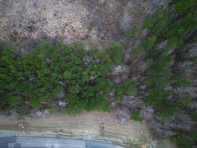 Enjoy Smith Lake without The Smith Lake Price Tag! This Lot is 1 - photo 25