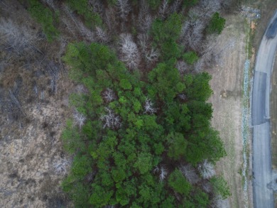 Enjoy Smith Lake without The Smith Lake Price Tag! This Lot is 1 - photo 26