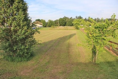 BEST BUY FOR A LAKE LOT IN THE BEAUTIFUL BARREN RIVER LAKE AREA! - photo 8
