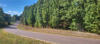 Lake Acreage For Sale in Gravois Mills, Missouri