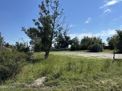 This large 75x150 lot is conveniently located in the heart of - photo 1