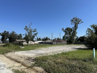 This large 75x150 lot is conveniently located in the heart of - photo 2