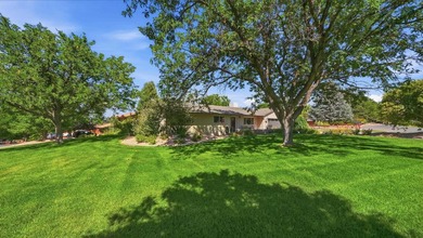 Welcome to Monument Village in the highly sought-after Redlands! - photo 3