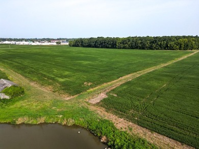 Welcome to Ottawa County and this fantastic business and - photo 4