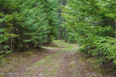 40 Acres Located in a Highly Desirable Area in a Gated Community - photo 6