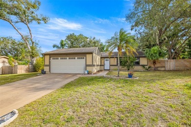 Lake Tarpon Home Sale Pending in Palm Harbor Florida