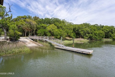 Exceptional interior homesite in Distant Island -- a - photo 22